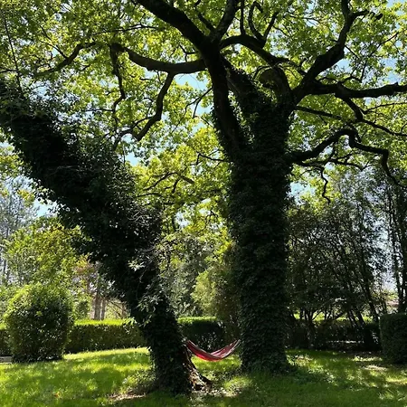 Historic Manor With Pool In Quercy Caussade